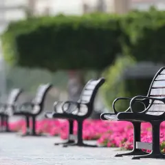 Jakie drewno na ławkę ogrodową wybrać?