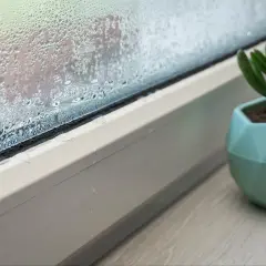 Jak pozbyć się wilgoci na oknach? Skuteczne metody, które działają!