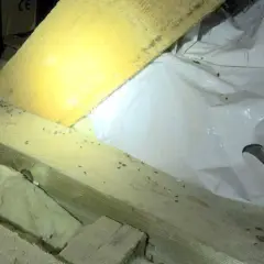 Jak myszy wchodzą na strych? Sposoby i metody zapobiegania ich wejściu