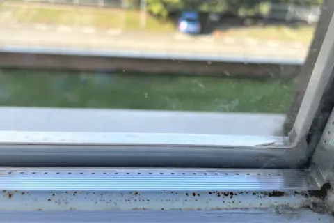 Grzyb na silikonie wokół okna to problem. Jak go trwale usunąć? Widać nalot i pleśń na ramie okiennej.